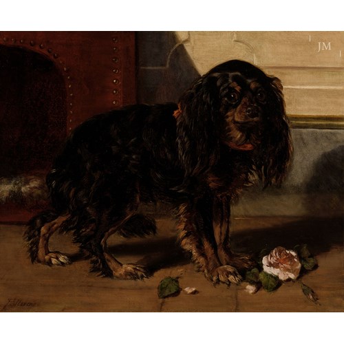 'L’épagneul à la rose' a Cavalier King Charles spaniel with a rose